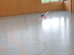 Floh im Flug