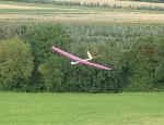 Floh im Flug