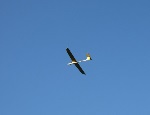 Raven Flug
