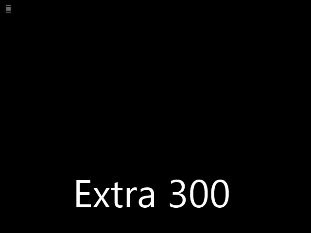 Extra300