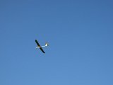 DSCF1763.jpg
