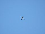 DSCF1770.jpg