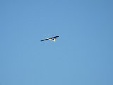 DSCF1780.jpg