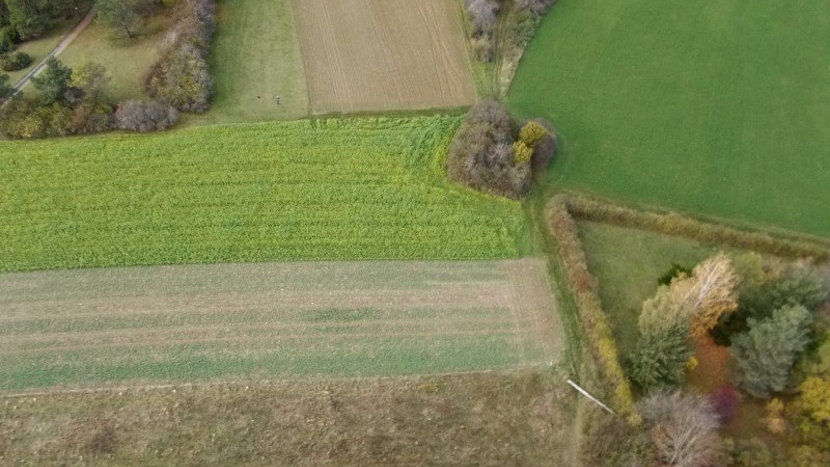 Eco7_Herbst_16zu9