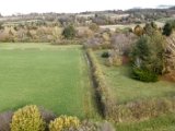 DSCN0266.jpg
