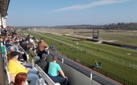 RotorLive2014