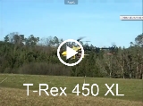 RexXL.mp4
